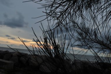 Miri, Sarawak / Malezya - 7 Ekim 2019: Miri, Sarawak 'ta günbatımında Luak Körfezi ve Tanjung Lubang' ın güzel plajları