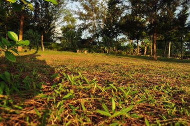 Miri, Sarawak / Malezya - 7 Ekim 2019: Miri, Sarawak 'ta günbatımında Luak Körfezi ve Tanjung Lubang' ın güzel plajları