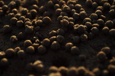 Miri, Sarawak / Malezya - 7 Ekim 2019: Miri, Sarawak 'ta günbatımında Luak Körfezi ve Tanjung Lubang' ın güzel plajları