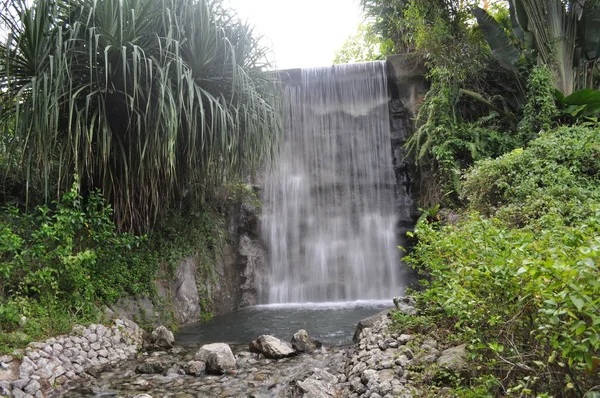 Miri Sarawak Malaisie Octobre 2019 Les Belles Plages Luak Bay — Photo