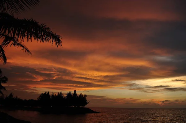 Coucher De Soleil Sur La Plage Avec Des Feuilles De Palmier