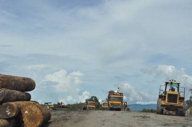 Miri, Sarawak / Malezya - 7 Ekim 2019: Sisli gündoğumu saatlerinde inanılmaz orman ve nehir manzarası