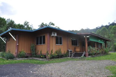 Miri, Sarawak / Malezya - 7 Ekim 2019: Sisli gündoğumu saatlerinde inanılmaz orman ve nehir manzarası