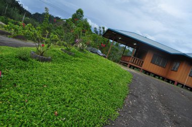 Miri, Sarawak / Malezya - 7 Ekim 2019: Sisli gündoğumu saatlerinde inanılmaz orman ve nehir manzarası