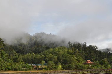 Miri, Sarawak / Malezya - 7 Ekim 2019: Sisli gündoğumu saatlerinde inanılmaz orman ve nehir manzarası