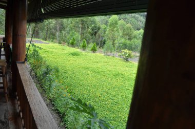 Miri, Sarawak / Malezya - 7 Ekim 2019: Sisli gündoğumu saatlerinde inanılmaz orman ve nehir manzarası