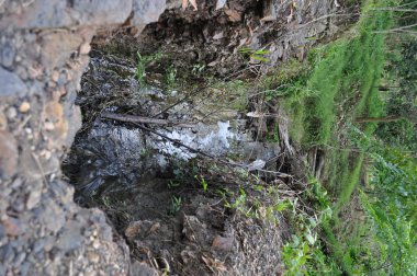 Miri, Sarawak / Malezya - 7 Ekim 2019: Sisli gündoğumu saatlerinde inanılmaz orman ve nehir manzarası