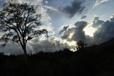 Miri, Sarawak / Malezya - 7 Ekim 2019: Sisli gündoğumu saatlerinde inanılmaz orman ve nehir manzarası