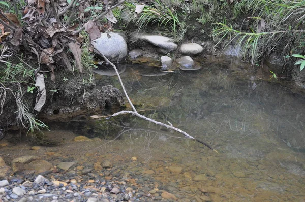 Miri Sarawak Maleisië Oktober 2019 Verbazingwekkend Uitzicht Bos Rivier Mistige — Stockfoto