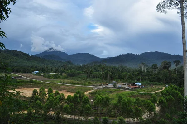 Miri Sarawak Malaisie Octobre 2019 Superbe Vue Sur Forêt Rivière — Photo