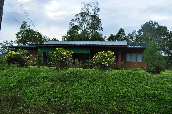 Miri Sarawak Maleisië Oktober 2019 Verbazingwekkend Uitzicht Bos Rivier Mistige — Stockfoto