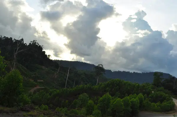 Miri Sarawak Malezya Ekim 2019 Sisli Gündoğumu Saatlerinde Inanılmaz Orman — Stok fotoğraf