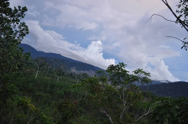 Miri Sarawak Maleisië Oktober 2019 Verbazingwekkend Uitzicht Bos Rivier Mistige — Stockfoto