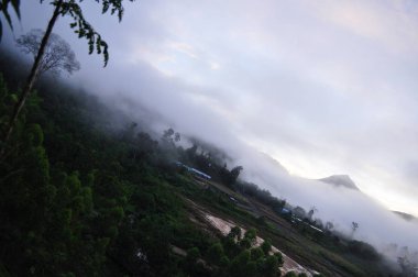 Miri, Sarawak / Malezya - 7 Ekim 2019: Sisli gündoğumu saatlerinde inanılmaz orman ve nehir manzarası