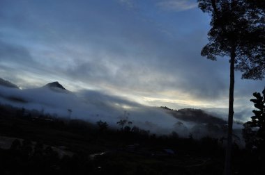 Miri, Sarawak / Malezya - 7 Ekim 2019: Sisli gündoğumu saatlerinde inanılmaz orman ve nehir manzarası