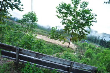 Miri, Sarawak / Malezya - 7 Ekim 2019: Sisli gündoğumu saatlerinde inanılmaz orman ve nehir manzarası