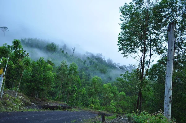 Miri Sarawak Malásia Outubro 2019 Incríveis Vistas Floresta Rio Nas — Fotografia de Stock