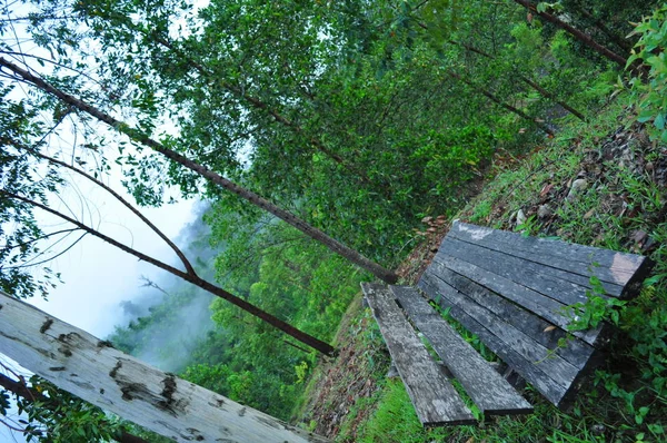 Miri Sarawak Malaysia October 2019 Amazing Forest River Views Misty — Stock Photo, Image