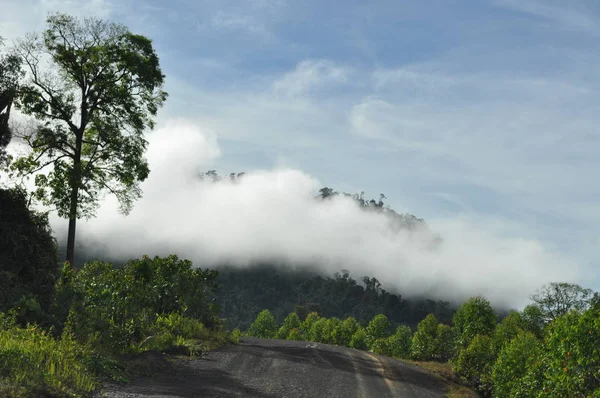 马来西亚沙捞越米里 2019年10月7日 雾蒙蒙的日出时分 森林和河流尽收眼底 — 图库照片