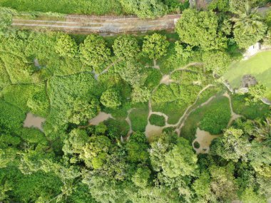 Kuching, Sarawak / Malezya - 20 Kasım 2019: Timsahlarla dolu bir göl veya göl manzarası. Jongs Timsah Çiftliği, Kuching, Sarawak, Malezya.