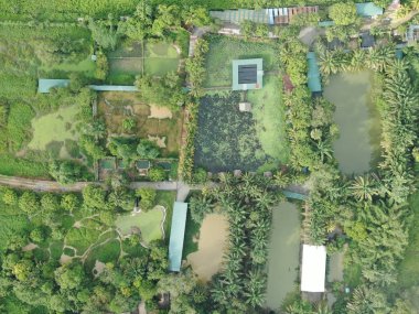 Kuching, Sarawak / Malezya - 20 Kasım 2019: Timsahlarla dolu bir göl veya göl manzarası. Jongs Timsah Çiftliği, Kuching, Sarawak, Malezya.