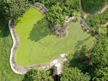 Kuching, Sarawak / Malezya - 20 Kasım 2019: Timsahlarla dolu bir göl veya göl manzarası. Jongs Timsah Çiftliği, Kuching, Sarawak, Malezya.