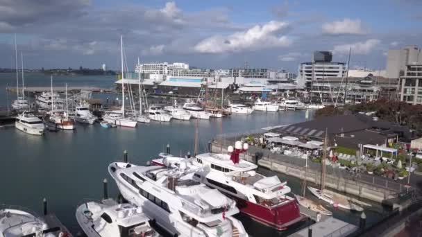 Viaduct Harbour Auckland Nova Zelândia Dezembro 2019 Bela Cena Torno — Vídeo de Stock