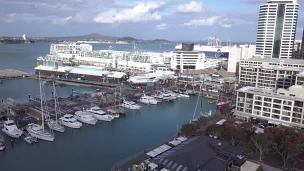 Viaduct Harbour Auckland Nieuw Zeeland December 2019 Prachtige Scene Rondom — Stockvideo
