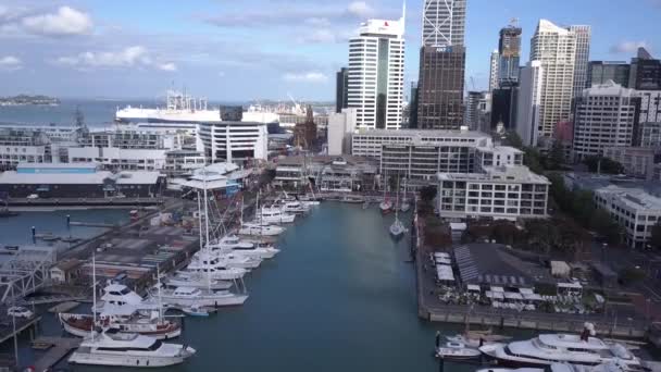 Viaduct Harbour Auckland Zéland 2019 December Viaduct Kikötő Princess Wharf — Stock videók