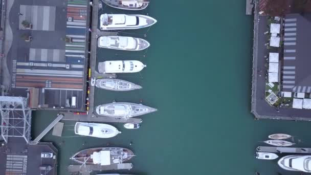 Viaduct Harbour Auckland Nueva Zelanda Diciembre 2019 Hermosa Escena Que — Vídeos de Stock