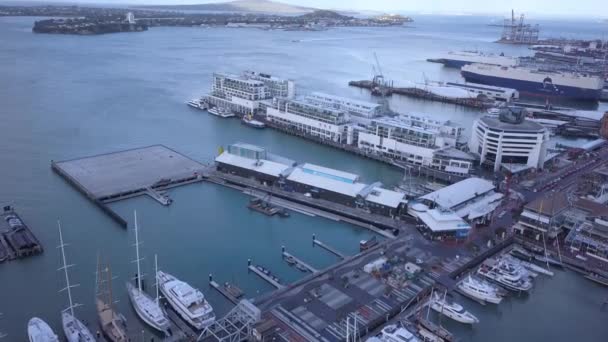 Виадук Харбур Окланд Новая Зеландия Декабря 2019 Года Красивая Сцена — стоковое видео