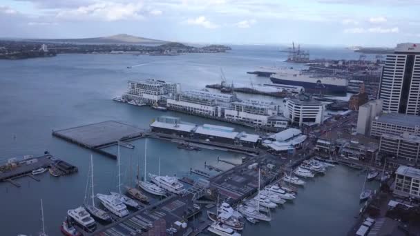 Viaduct Harbour Auckland Nueva Zelanda Diciembre 2019 Hermosa Escena Que — Vídeos de Stock