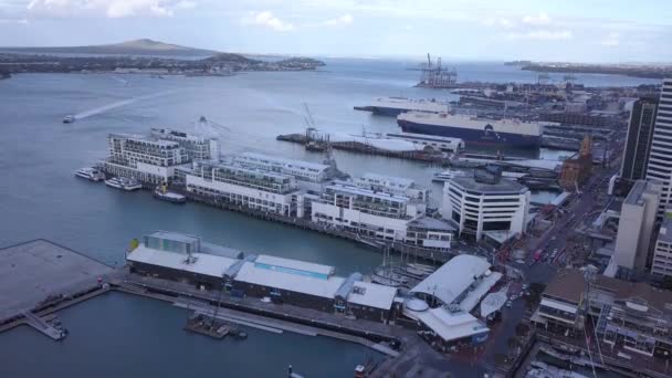 Viaduct Harbour Auckland New Zealand December 2019 Beautiful Scene Surrounding — Stock Video