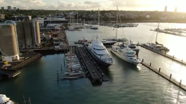 Viaduct Harbour Auckland Nova Zelândia Dezembro 2019 Bela Cena Torno — Vídeo de Stock