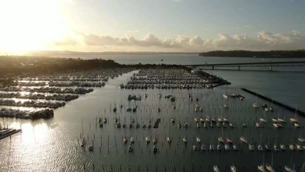 Viaduct Harbour Auckland Nueva Zelanda Diciembre 2019 Hermosa Escena Que — Vídeos de Stock