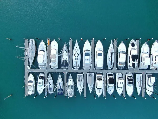 Viaduct Harbour Auckland Nova Zelândia Dezembro 2019 Bela Cena Torno — Fotografia de Stock