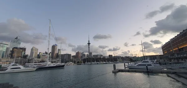 Port Viaduc Auckland Nouvelle Zélande Décembre 2019 Belle Scène Entourant — Photo