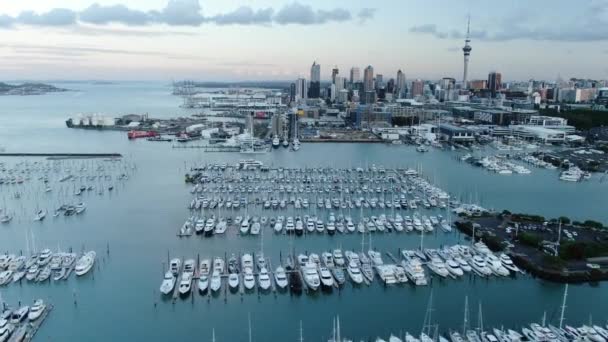 Port Viaduc Auckland Nouvelle Zélande Décembre 2019 Belle Scène Entourant — Video