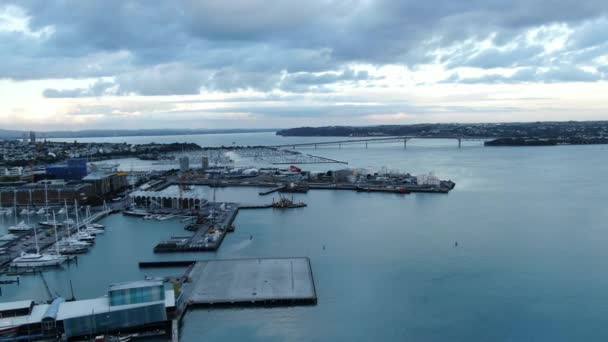 Viaduct Harbour Auckland Nova Zelândia Dezembro 2019 Bela Cena Torno — Vídeo de Stock