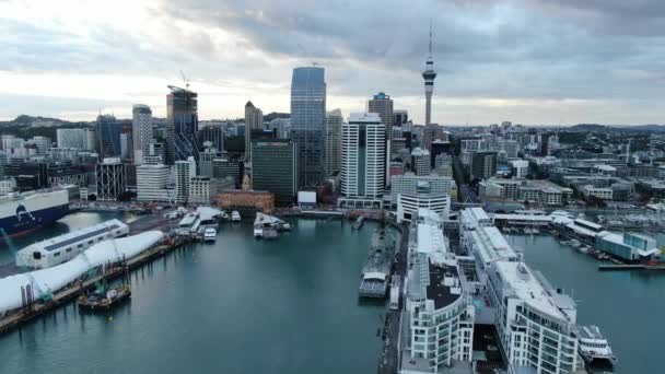 Viaduct Harbour Auckland New Zealand December 2019 Beautiful Scene Surrounding — 비디오