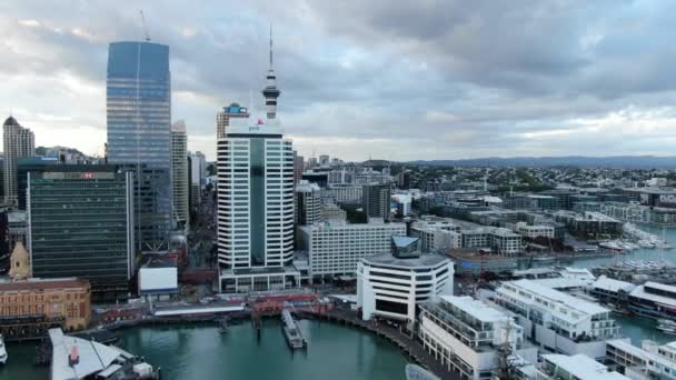 Port Viaduc Auckland Nouvelle Zélande Décembre 2019 Belle Scène Entourant — Video