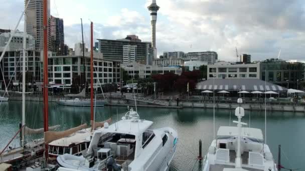 Viadukthafen Auckland Neuseeland Dezember 2019 Die Wunderschöne Szenerie Rund Den — Stockvideo