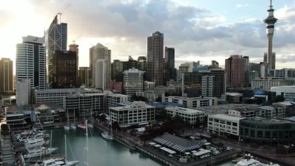 Viaduct Harbour Auckland Nova Zelândia Dezembro 2019 Bela Cena Torno — Vídeo de Stock