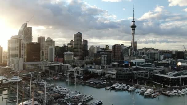 Port Viaduc Auckland Nouvelle Zélande Décembre 2019 Belle Scène Entourant — Video