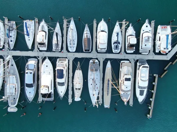 Viaduct Harbour Auckland Nieuw Zeeland December 2019 Prachtige Scene Rondom — Stockfoto