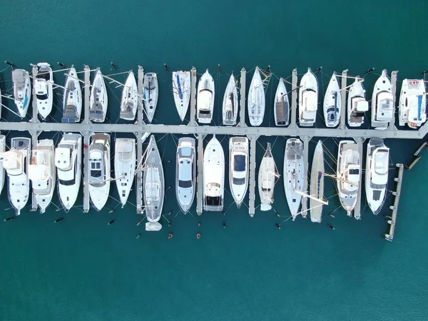 Viaduct Harbour Auckland Nieuw Zeeland December 2019 Prachtige Scene Rondom — Stockfoto