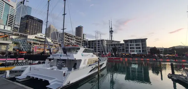 Port Viaduc Auckland Nouvelle Zélande Décembre 2019 Belle Scène Entourant — Photo