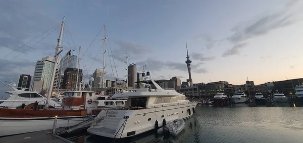 Port Viaduc Auckland Nouvelle Zélande Décembre 2019 Belle Scène Entourant — Photo