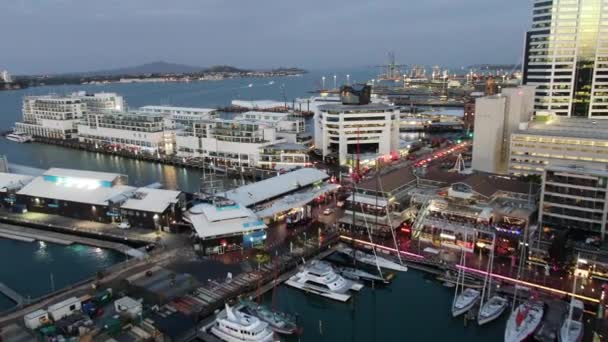 2019年12月29日 ビアドュート港 プリンセス ワーフエリア マリーナベイ ウィンヤード セント メアリーズ湾 ウェステンを囲む美しいシーン すべてのニュージーランド北島 — ストック動画