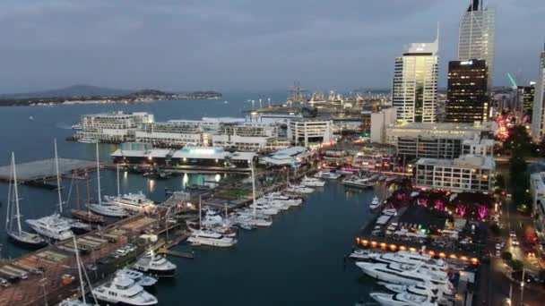 Viaduct Harbour Auckland Nueva Zelanda Diciembre 2019 Hermosa Escena Que — Vídeos de Stock